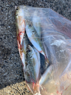 スーパーライトショアジギング