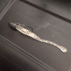 アジ抜けた⁉︎