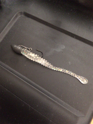 アジ抜けた⁉︎