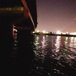 シーバス狙いのはずだった…