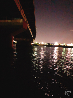 シーバス狙いのはずだった…