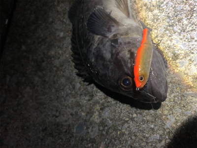 ジョイクロ70やらかす!