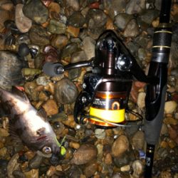 水温下がってきた？