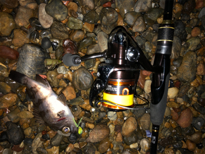 水温下がってきた？