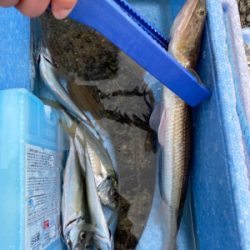 エレベーター釣り！