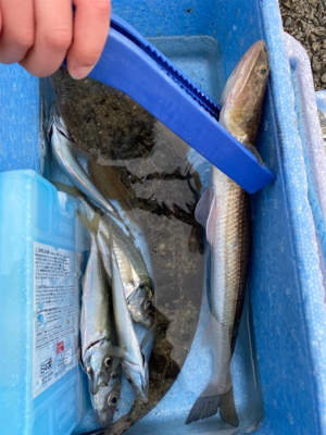 エレベーター釣り！