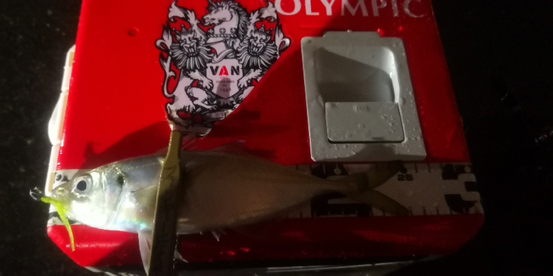 アジング練習 97