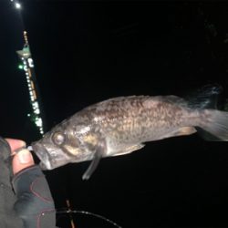 小潮でひと段落！？