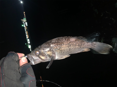 小潮でひと段落！？