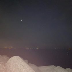 サバ.アジ.アジ