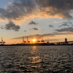 南港タチウオ釣行