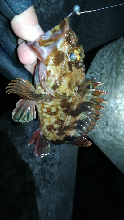 ナイトメバリング