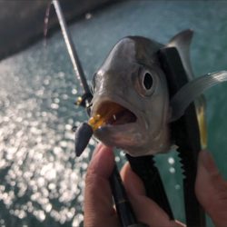 ライトゲーム！