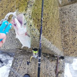 ショアジギング