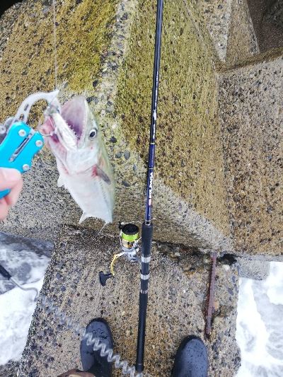 ショアジギング