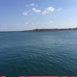 2020年初宮崎港 チヌ釣り