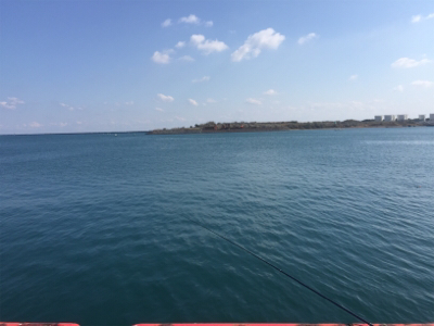 2020年初宮崎港 チヌ釣り