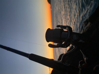 久しぶりの青物はメジロ