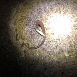 こんな事って⁈