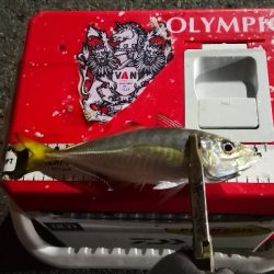 アジング練習 102