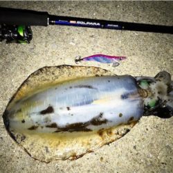 キロアップ2杯！！