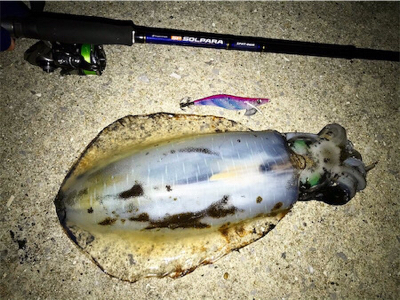 キロアップ2杯！！