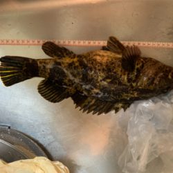 モンスタータケノコ