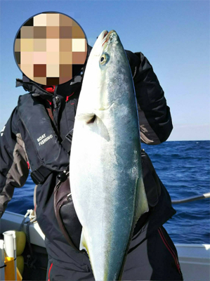 オフショアブリ