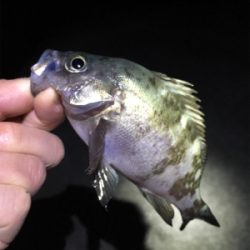 潮止まりは渋い