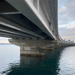 弁天島、メバリング　ライトゲーム