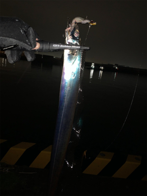 太刀雨中(タチウチュウ)