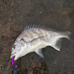 朝早く起きたから