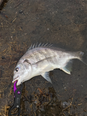 朝早く起きたから