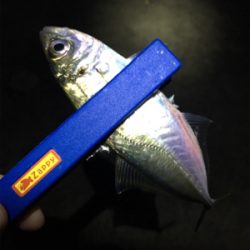 雨上がりのライトゲーム