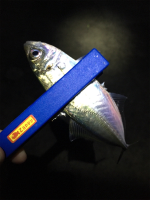 雨上がりのライトゲーム