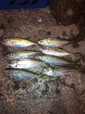 南蛮漬けにピッタリサイズ