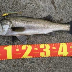 笑 先週と全く同じ!