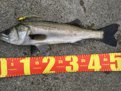 笑 先週と全く同じ!