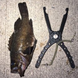 荒れてたけど、何とかOK