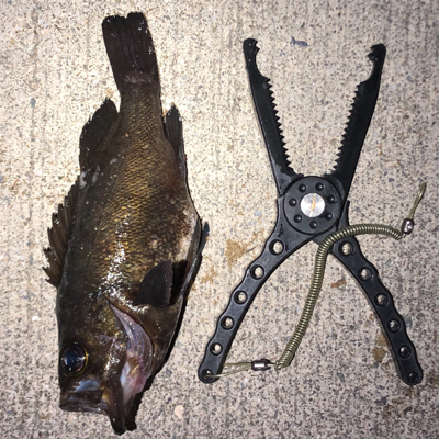 荒れてたけど、何とかOK