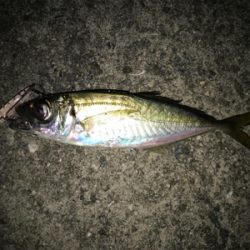 2020 ライトゲーム第4戦