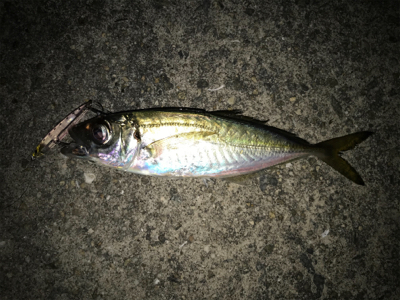 2020 ライトゲーム第4戦