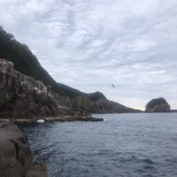 マルヒサ渡船 グレ釣り&平政