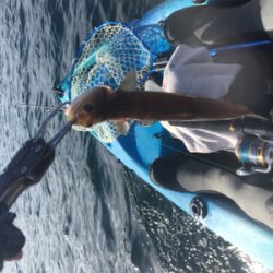 渋い日が続きます。