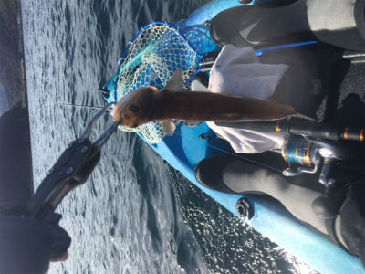 渋い日が続きます。