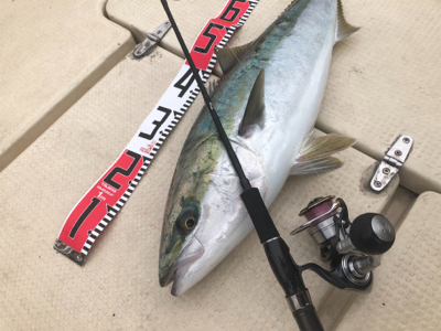 令和2年初❗️…