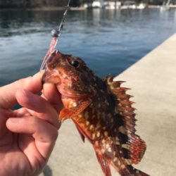 デーメバリング