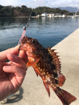 デーメバリング