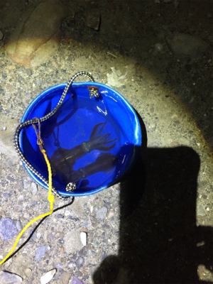 五目釣り目指して‼︎