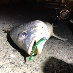 癒しチニング♪